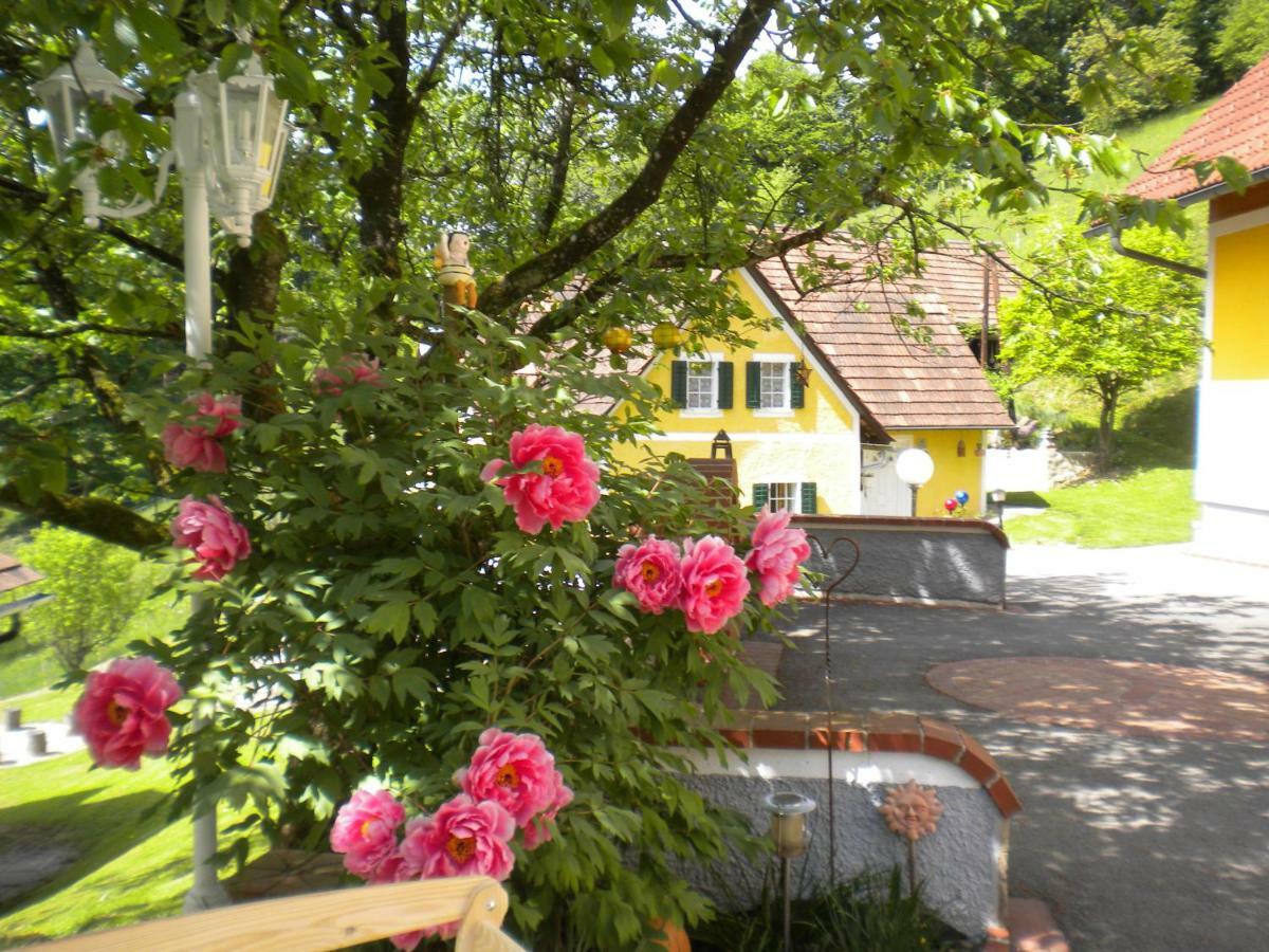 Buchschneider - Ferienhaus Maier - Landhof Schwarzautal Екстериор снимка