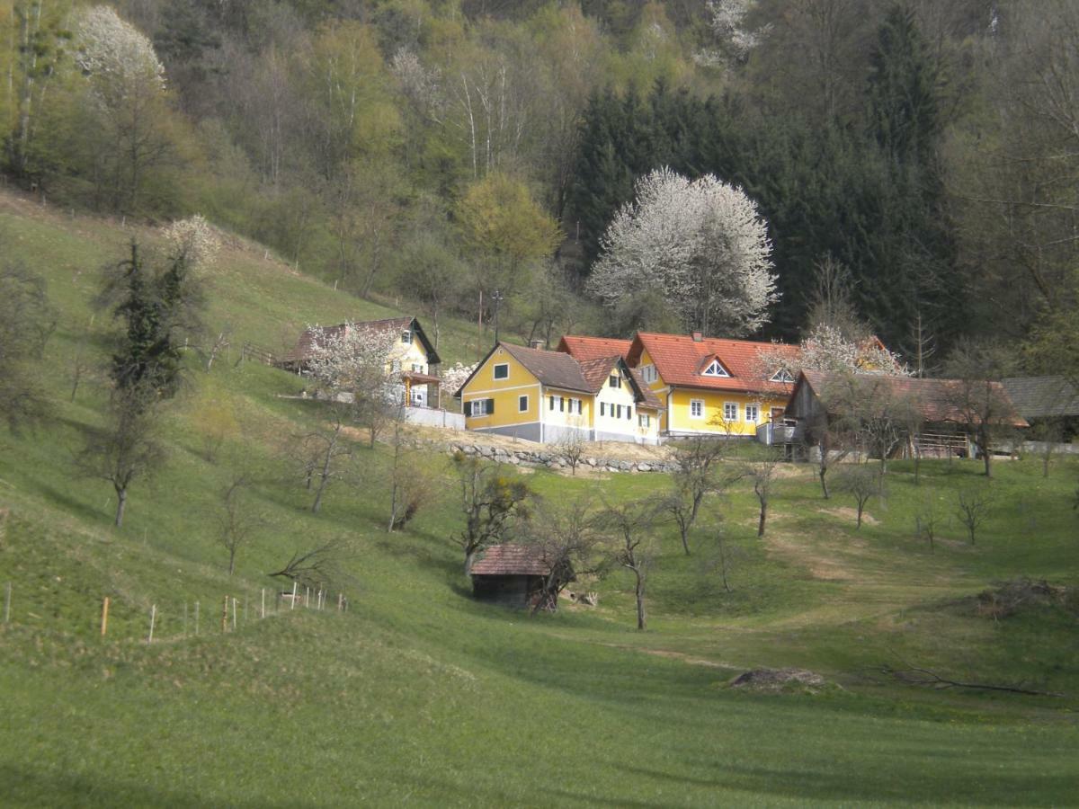 Buchschneider - Ferienhaus Maier - Landhof Schwarzautal Екстериор снимка