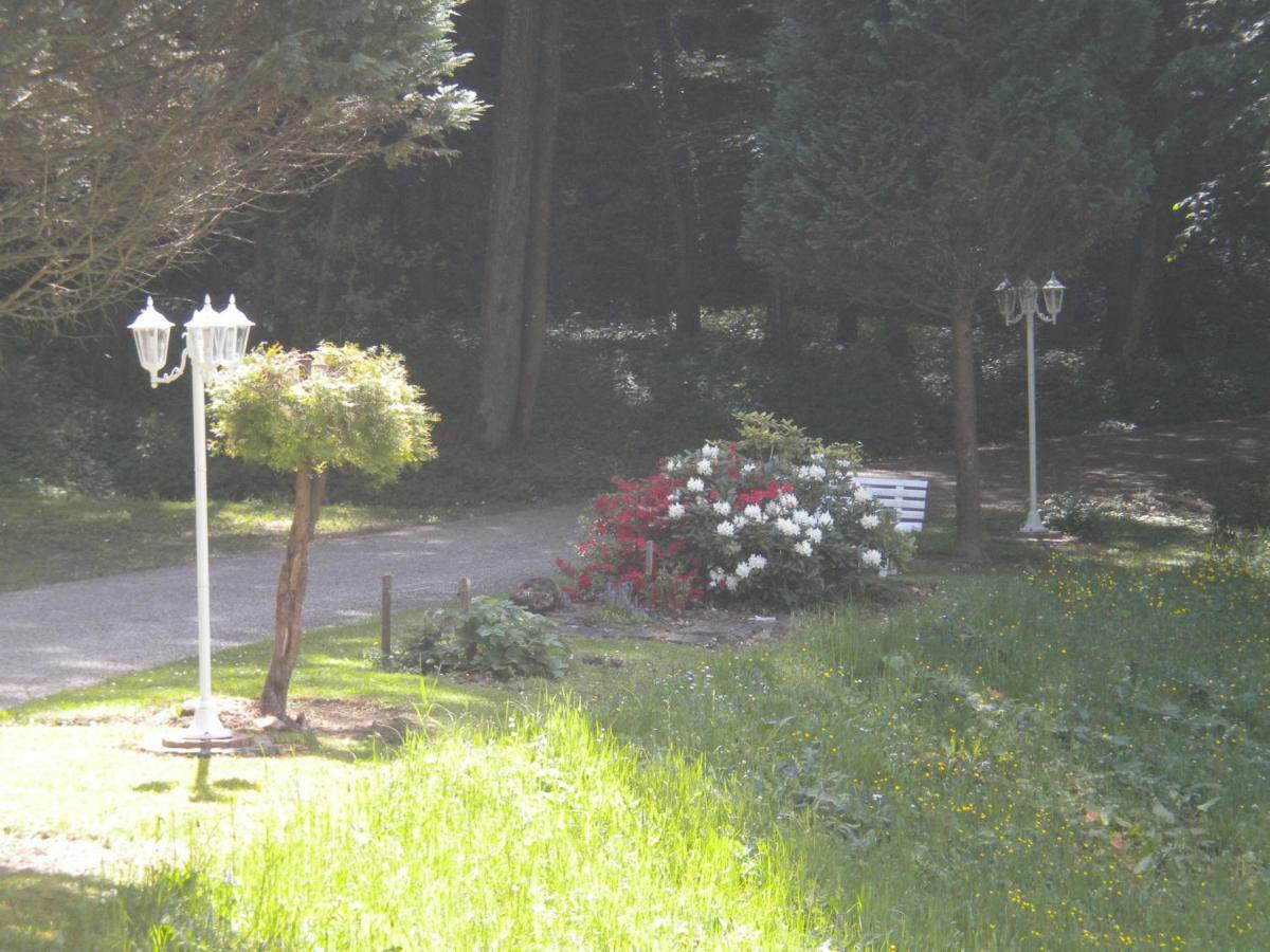 Buchschneider - Ferienhaus Maier - Landhof Schwarzautal Екстериор снимка